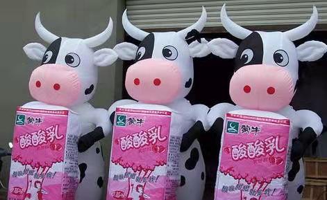 琅琊牛奶厂广告气模